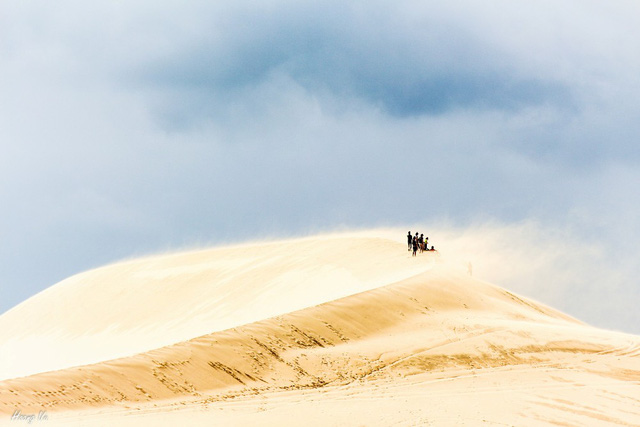 Ngẩn ngơ trước những đồi cát đẹp mê hồn của Việt Nam
